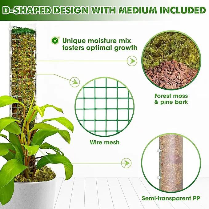 DUSPRO D-Shaped Plastic Moss Poles for Climbing Plants Monstera Stackable Moss Pole for Plants Moss Plant Pole Handmade Moss Stick for Indoor Plants Grow Upward 2 Pack 16.5 inches by GreenHaven Gardens