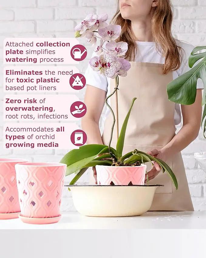 Whispering Winds Ceramic 5 x 6 Inch Orchid Pot with Holes & Saucer for Aeration and Drainage - Decorative Orchid Pots for Repotting, Prevent Over Watering & Root Rot (Cavern Pink) by GreenHaven Gardens