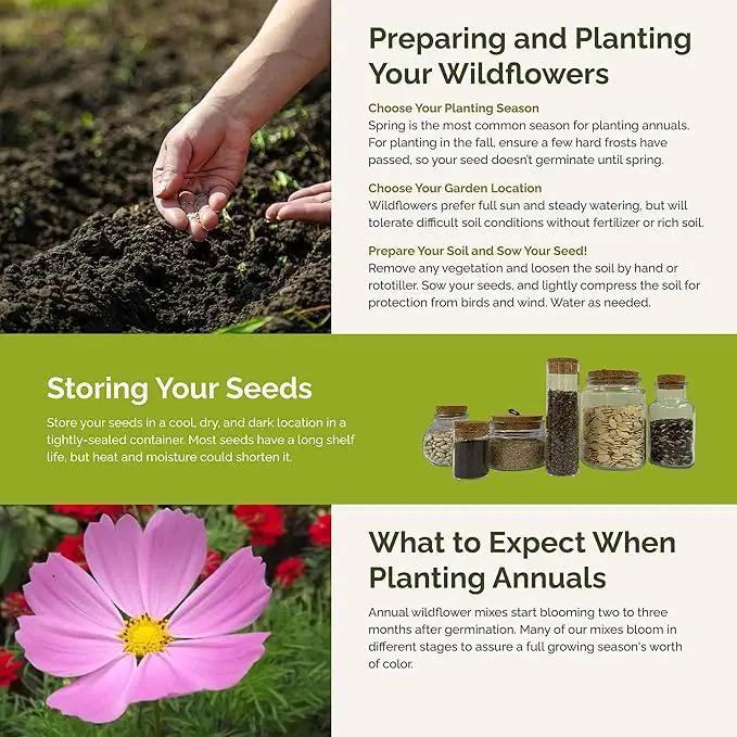 Eden Brothers Tickled Pink Flower Mixed Seeds for Planting, 1/4 lb, 120,000+ Seeds with Cosmos, Cornflower, Zinnia | Attracts Pollinators, Plant in Spring or Fall, Zones 3, 4, 5, 6, 7, 8, 9, 10 by GreenHaven Gardens