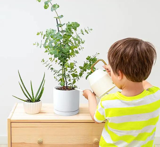 D'vine Dev Ceramic Planter Pot with Drainage Hole and Saucer, Indoor Cylinder Round Flower Pot, 4.6 Inch, White, 94-O-B-1 by GreenHaven Gardens