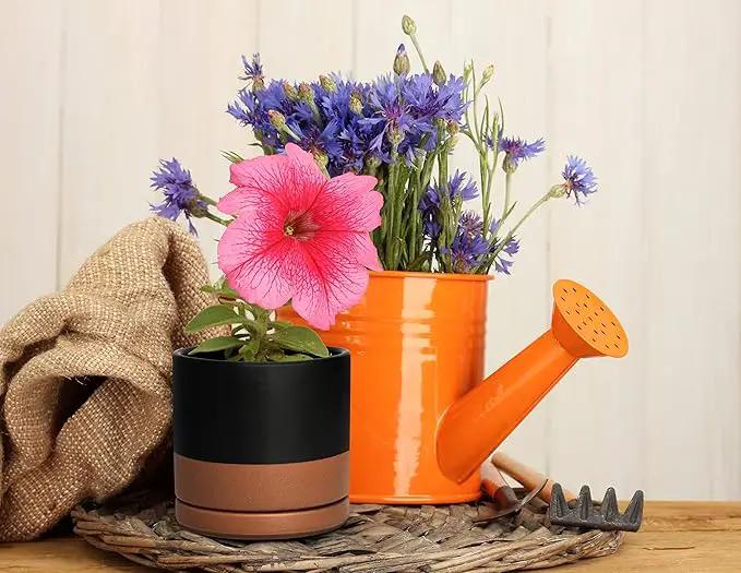 D'vine Dev 4.6 Inch & 6 Inch Ceramic Planter Pots for Plants with Drainage Hole and Saucer, Small Plant Pots Set, Black/Speckled Tan, 94-G-S-7 by GreenHaven Gardens