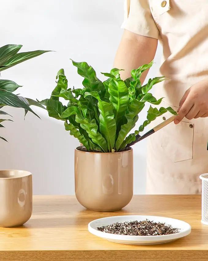 vancasso Ceramic Plant Pots, 4+5+6 inches, Set of 3, Planters with Drainage Hole, Flower Pots Planters Pots for Indoor Plants, Modern Indoor Decorative Garden Pot, Home Decor, Brown by GreenHaven Gardens