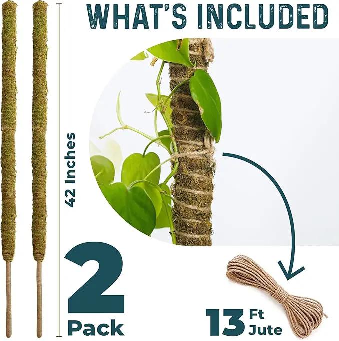 2 Pack 42'' Bendable Moss Pole Monstera Plant Support - Real Forest Moss for Climbing Indoor Plants - Stakes for Potted Climbers - Tall Sticks Indoor Trellis for Houseplants - Pot Accessories by GreenHaven Gardens