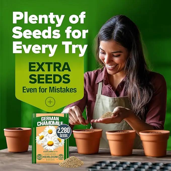 HOME GROWN 𝗨𝗦𝗔 𝗣𝗥𝗘𝗠𝗜𝗨𝗠 German Chamomile Seed Pack – 2,280 𝗡𝗢𝗡-𝗚𝗠𝗢 Heirloom Seeds for Planting for Sustainable Gardens and Soothing Medicinal Herbal Teas (Matricaria chamomilla) by GreenHaven Gardens