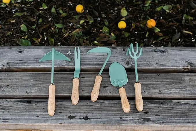 Barebones Triangle Hoe - Stainless Steel Blade Japanese Gardening Tools for Weeding Long Handle and Hand Hoe (Ash/Mint) by GreenHaven Gardens