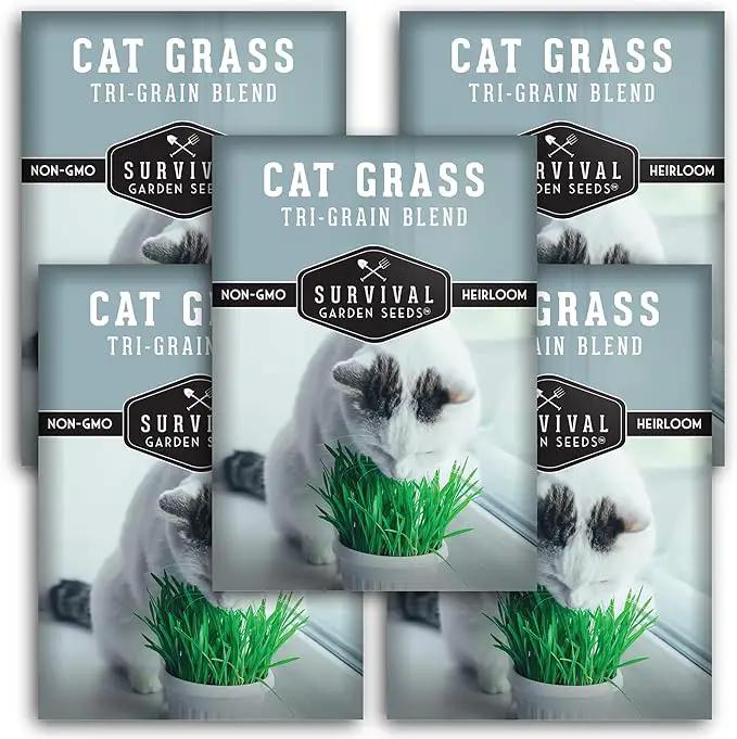 Cat Grass Seed for Planting - 5 Packets with Instructions to Plant & Grow Greens for Your Pet Indoors or Outdoors in a Container or Garden - Non-GMO Heirloom Variety - Survival Garden Seeds by GreenHaven Gardens