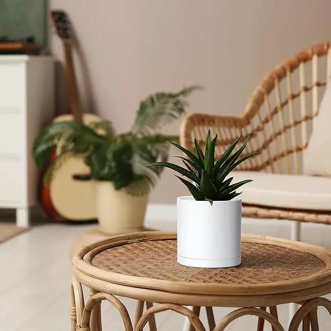 D'vine Dev 2 Pack 5 Inch Modern Plastic Plant Pots, Small Garden Planters for Plant with Drainage Holes and Saucers, White Color, 74-Z-G-1 by GreenHaven Gardens