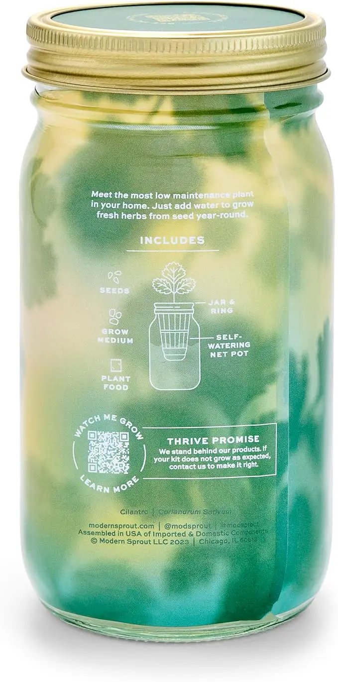 Modern Sprout Mason Garden Jar - Self-Watering Hydroponics Growing System Kit with Organic Herb Seeds - Jar Planter for Indoor Herb Garden - Seed Starter Kit - Home Decor & Gifting - Cilantro by GreenHaven Gardens