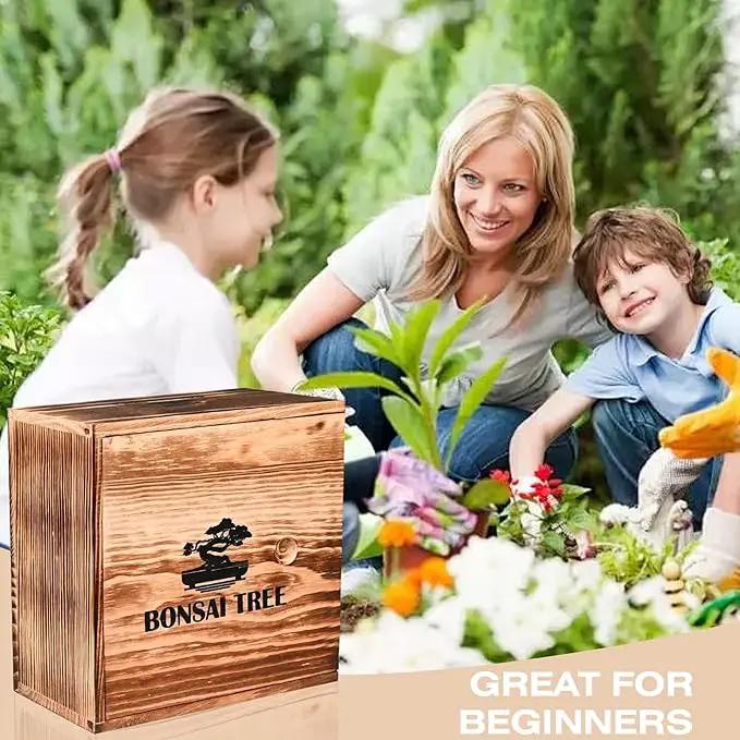 Bonsai Garden Starter Kit, 4 Seeds Growing into Sakura, Ginkgo, Black Pine, Red Flame, Including Complete Gardening Tools & A Wooden Box with Cover, Christmas Gifts for Men Women Beginners by GreenHaven Gardens
