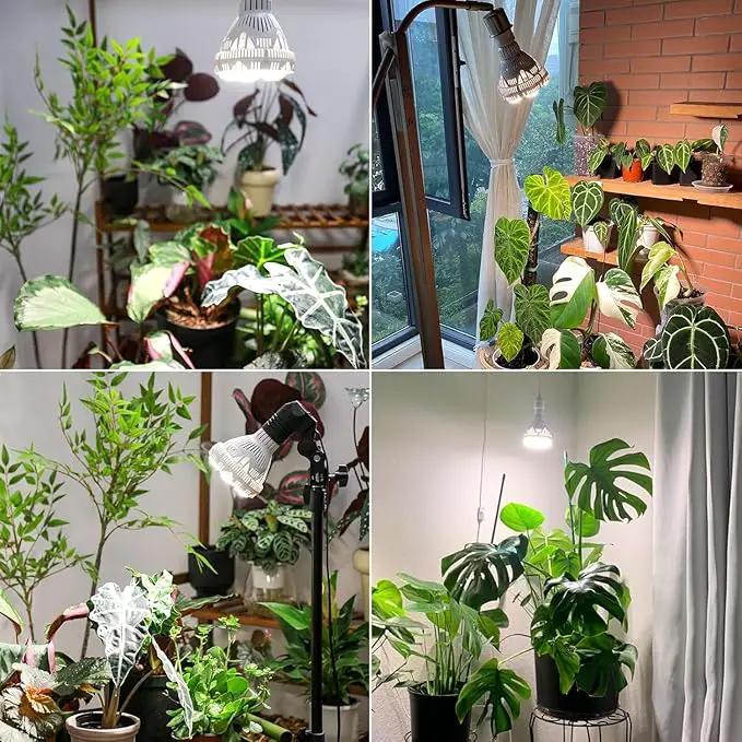 SANSI Dimmable Grow Light Bulb Full Spectrum, High PPFD 30W Grow Bulb (450 Watt Equiv) with Remote, Auto On Off Timing 4 8 12 Hrs, Energy Saving Plant Light Bulb with E26 Base for Indoor Plants by GreenHaven Gardens