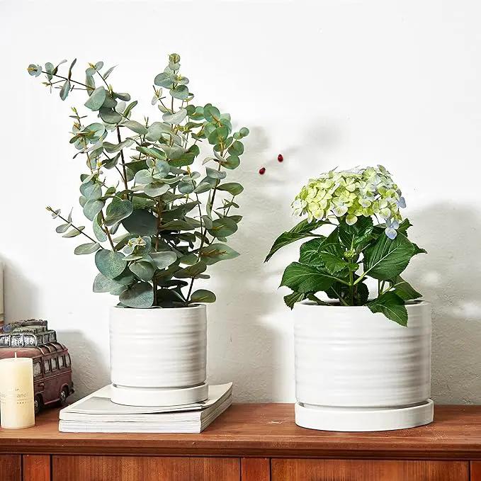 6 + 8 Inch Plant Pots, Ceramic Planter Pot with Drainage Hole & Saucer, Indoor/Outdoor Cylinder Round Planter Pot, Matte White by GreenHaven Gardens