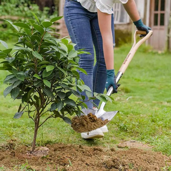 Berry&Bird Round Point Gardening Shovel with Wood D-Handle, 40.98" Stainless Steel Beach & Snow Shovel by GreenHaven Gardens