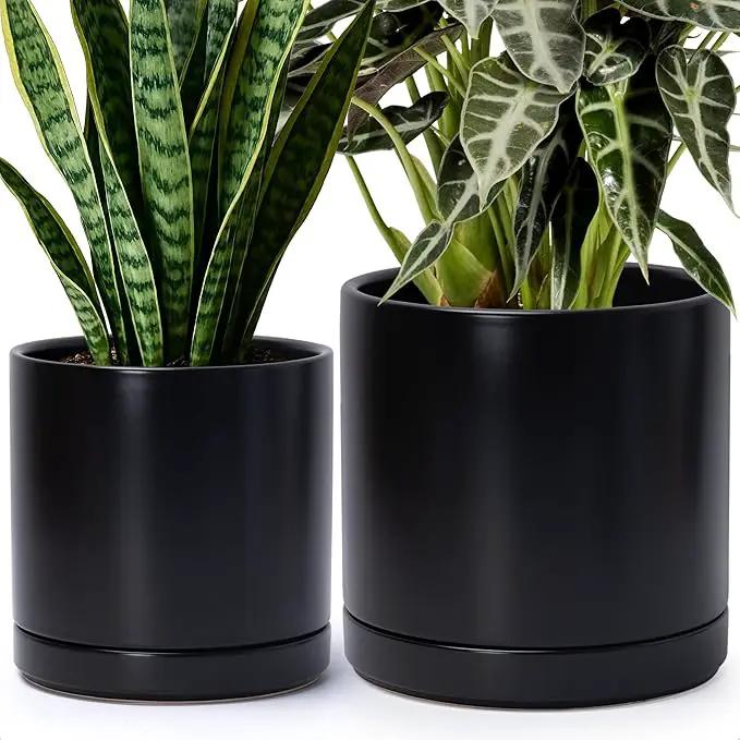 D'vine Dev 8 Inch & 10 Inch Ceramic Planter Pot for Plants with Drainage Hole and Saucer, Large Plant Pots Set, Black, 94-G-L-2 by GreenHaven Gardens