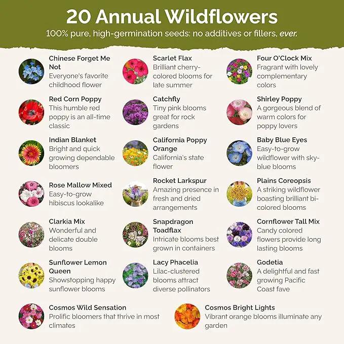 Eden Brothers All Annual Wildflower Mixed Seeds for Planting, 1 lb, 480,000+ Seeds with Sunflower, Indian Blanket, Scarlet Flax | Attracts Pollinators, Plant in Spring, Zones 3, 4, 5, 6, 7, 8, 9, 10 by GreenHaven Gardens