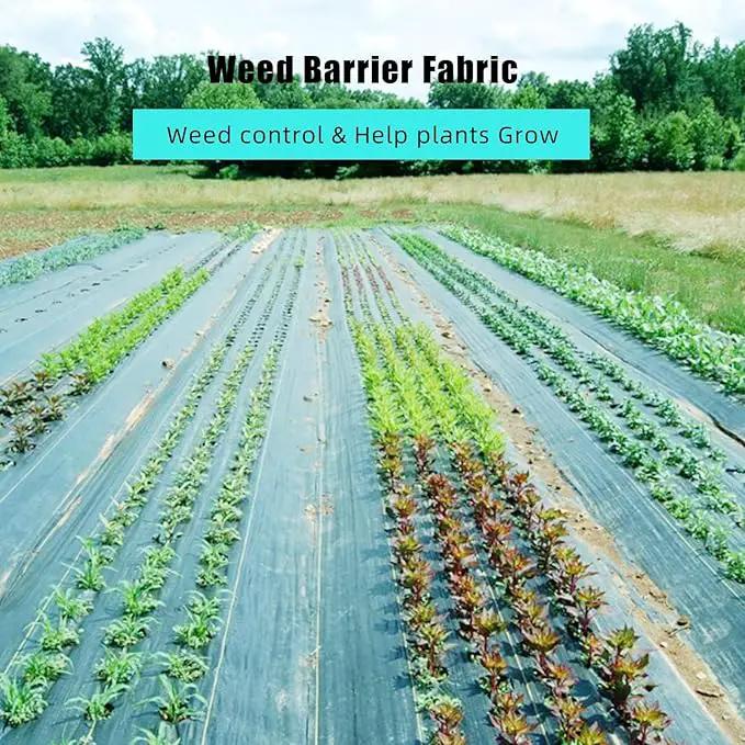 6 Ft x 300 Ft Heavy Duty Weed Barrier Landscape Fabric, 3.2Oz Professional Grade Weed Barrier Fabric for Gardening, Erosion Control & Construction, Durable Polypropylene Ground Cover by GreenHaven Gardens