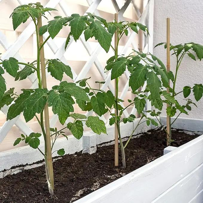 Plant Stakes,16 Inches Natural Garden Bamboo Sticks,BOVITRO 20Pcs Plant Support Stakes for Tomatoes,Beans,Vegetable and Potted Plants by GreenHaven Gardens