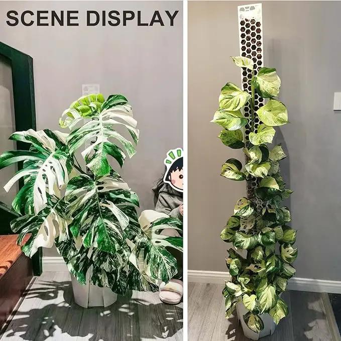 4 Pcs 17 Inch Plastic Moss Pole for Plants Monstera, Stackable Plant Support for Indoor Climbing Plants, Clear Plant Poles with 2pcs Garden Ties Work with Sphagnum Moss by GreenHaven Gardens