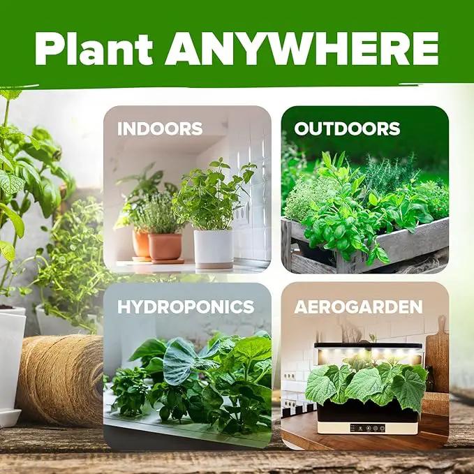 HOME GROWN 25 Herb Seeds for Planting 8,700+ Non-GMO Heirloom Seeds | Extra Large Variety Pack Herb Kit – Indoor Outdoor & Hydroponic | Culinary Seed Set | Grow Your Own Herbs | Gardening Gift by GreenHaven Gardens