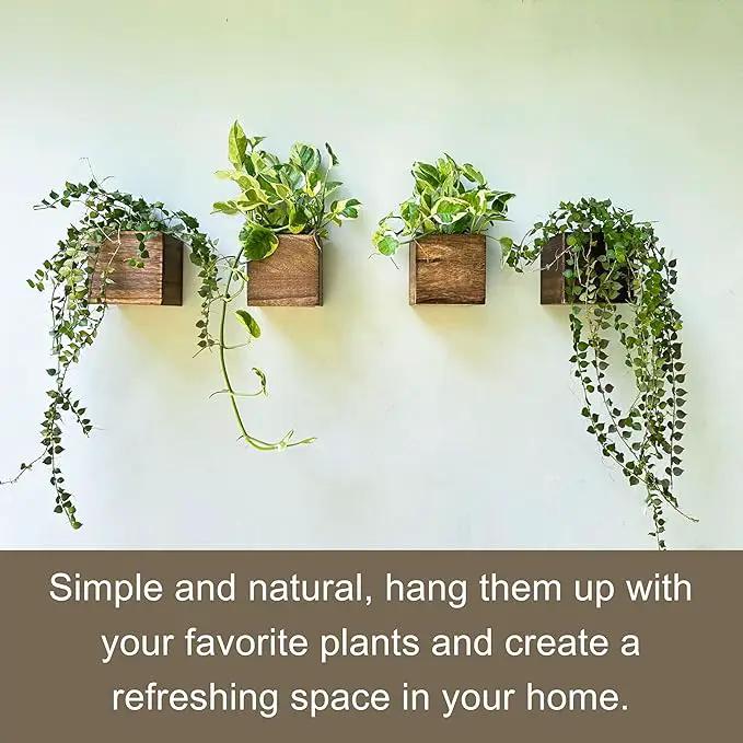 LaLaGreen Wood Planter Boxes for Plants (8 Pack, 4x4 Inch) Small Square Wall Mounted Planters for Indoor Plant, Herb Wooden Box Hanging Flower Pot Plant Holder Outdoor Fence Vertical Garden Home Decor by GreenHaven Gardens