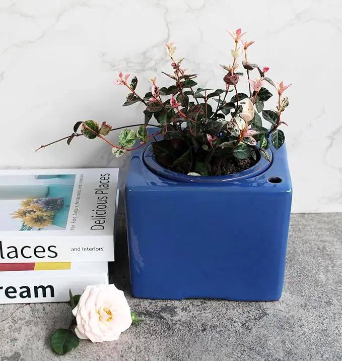 2-Pack Ceramic African Violet Self Watering Pot 6 Inch Square Pot 3.5 Inch Innter Pot Easy Fill Water Reservoir Blue by GreenHaven Gardens