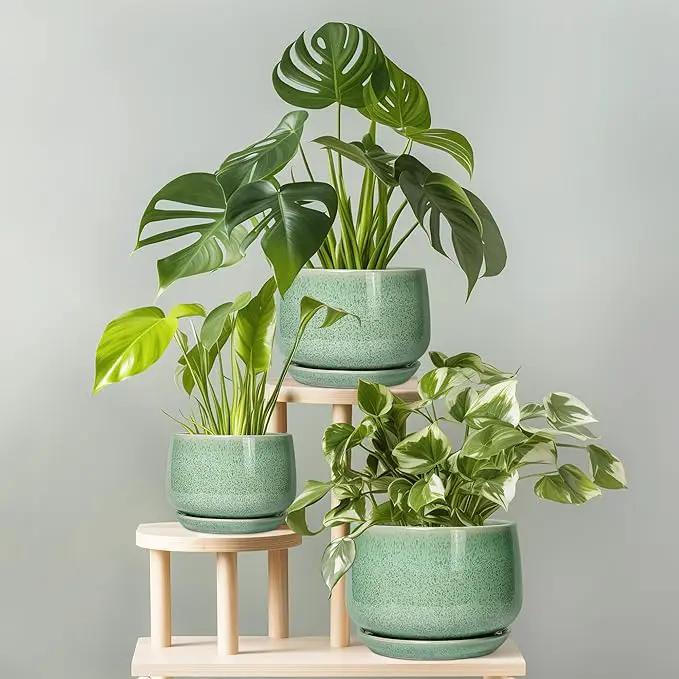 G EPGardening Ceramic Pots for Plants - 6 Inch Plant Pot with Drainage Hole and Saucer, Modern Ceramic Planter for Indoor Outdoor, Round Flower Planter, Gifts for Plants Lovers, Home Decor, Green by GreenHaven Gardens