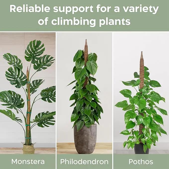 2 Pack 63'' Bendable Moss Pole Monstera Plant Support for Climbing Indoor Plants - Stakes for Potted Climbers - Tall Sticks Indoor Trellis for Houseplants - Accessories for Monstera Pot by GreenHaven Gardens