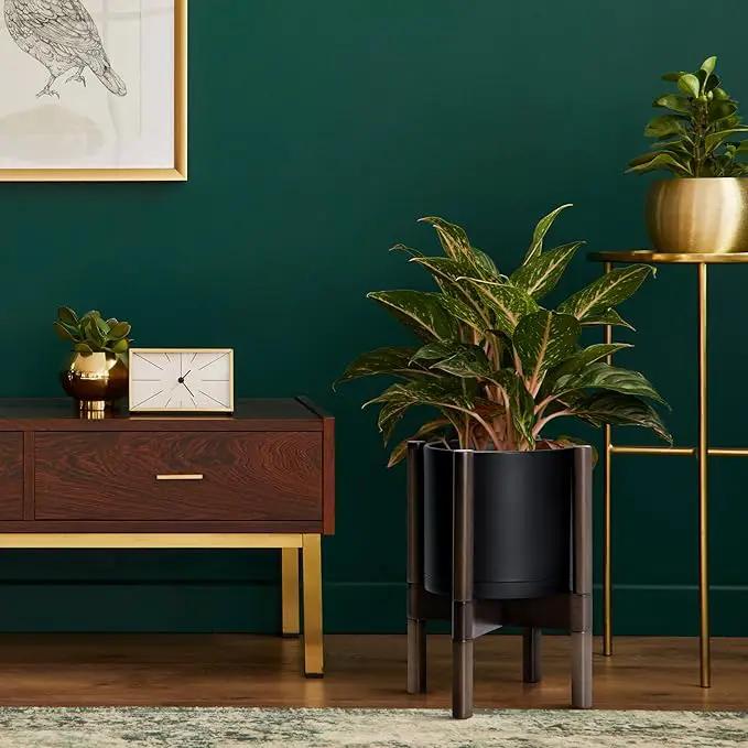 D'vine Dev Planter Pot with Stand - 8 Inch Plastic Cylinder Flower Pot with Wood Planter Holder for Indoor, Matte Black Pot + Walnut Color Stand, 55-C-I-2 by GreenHaven Gardens