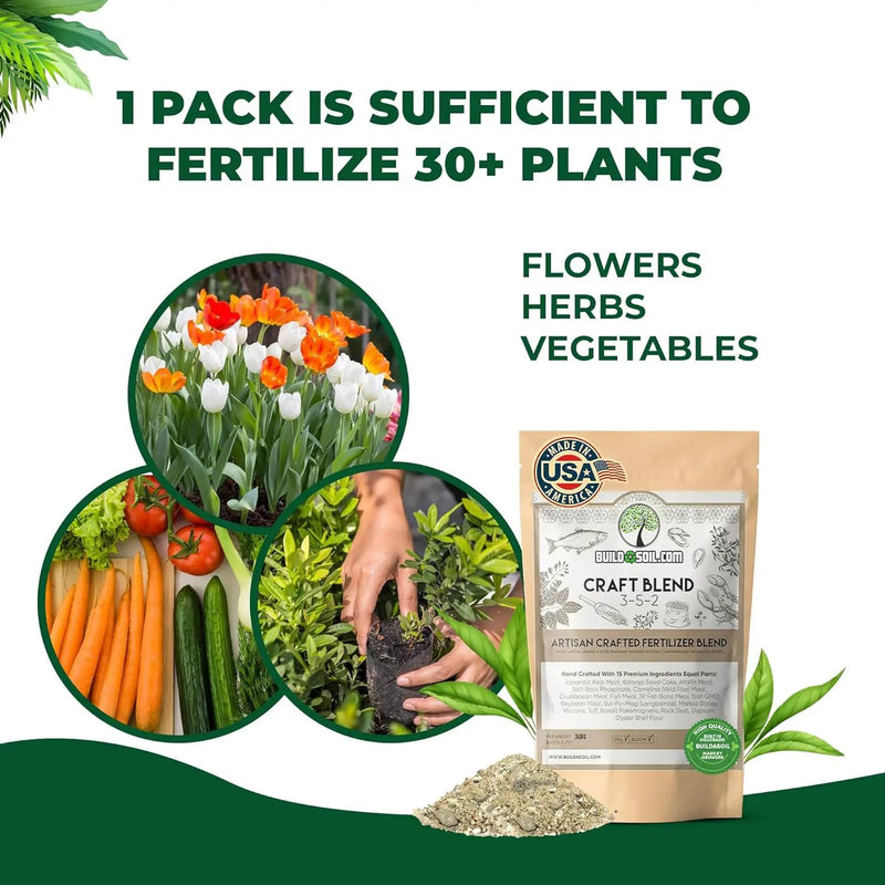 BuildASoil Fertilizer for Vegetable Garden and Ogranic Plant Food | Hand-Crafted Organic Fertilizer with 15 Premium Ingredients | Ensures Larger Plants and More Fragrant Flowers (10 LB - Medium Bag) by GreenHaven Gardens