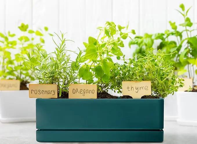 D'vine Dev 12 Inch Window Box Planter, Rectangle Plastic Herb Planter with Drainage Holes and Saucer, Indoor Succulent Cactus Vegetable Pot for Windowsill, Garden Balcony, Green, Set of 2, 76-X-C-2 by GreenHaven Gardens