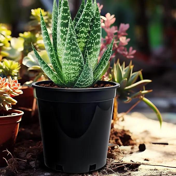 1.5 Gallon Plastic Nursery Pots, 7.5 Inch Round Plant Pots with Drainage Holes, 15 Pack Flower Pots for Outdoor Indoor Plants, Flowers, Black by GreenHaven Gardens