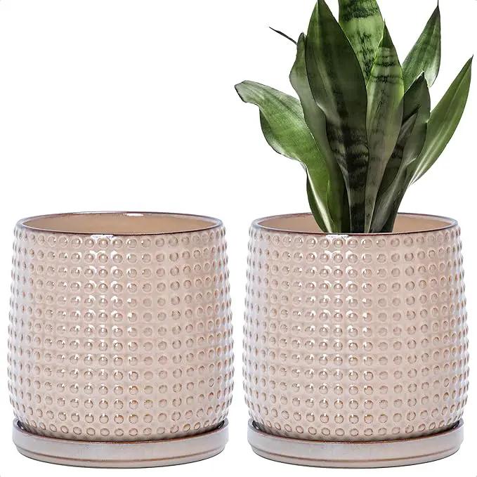 D'vine Dev Set of 2 Ceramic Plants Pots, 6 Inch Beaded Stoneware Flower Pot for Plants with Drainage Hole and Saucer, Light Brown, 27-E-X-4 by GreenHaven Gardens