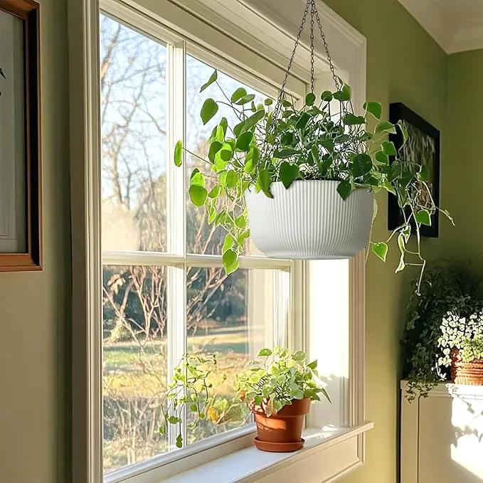 T4U 12 Inch Large Hanging Planters for Outdoor Plants, 2 Pack Self Watering Hanging Pots Indoor, Hanging Baskets for Plants,Hanging Flower Pot with Drainage Hole and Plant Hanger, White by GreenHaven Gardens