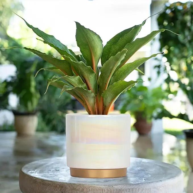 Gepege White Indoor Pots for Plants, Ceramic Planter with Drainage Hole, 9.6inch+7.6Inch+6Inch. Succulent Orchid Flower Pot - Rainbow Pearl Glaze by GreenHaven Gardens