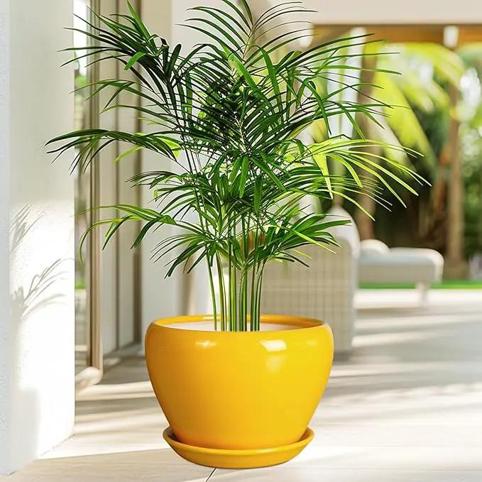 Ceramic Planter - 10 Inch Plant Pot for Indoor Outdoor Plants Glaze Modern Round Planter with Drainage Hole and Saucer for Garden Office Home Room Patio Decor, Yellow by GreenHaven Gardens