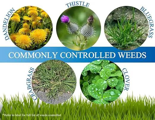 Liquid Harvest Mesotrione - 8oz - Mesotrione Concentrate (Compare to Tenacity) - Pre and Post-Emergent Weed Killer for Lawn and Turf Grasses by GreenHaven Gardens