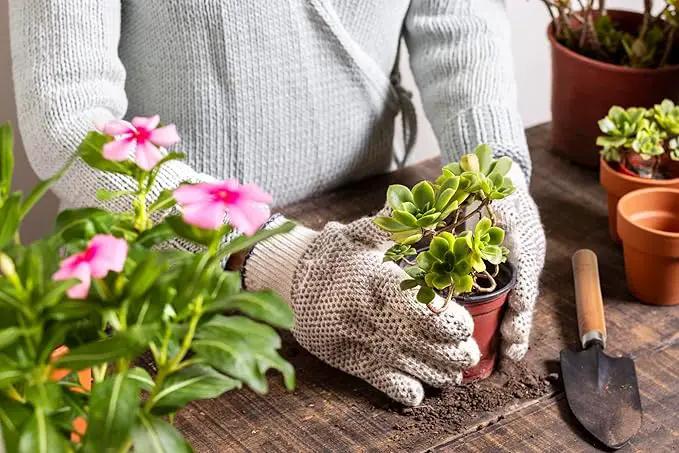 5Pcs Succulent Tools, Mini Garden Tools,Plant Potting Mat as Plant Accessories,Succulent Gardending Hand Tools Kit for Seedling Soil,Caring Succulent,etc,Gifts for Woman’s Gardening work(No Flowerpot) by GreenHaven Gardens