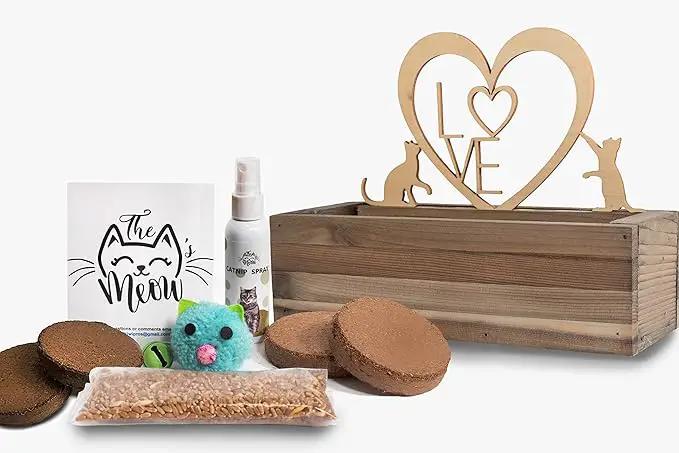 Cat Grass for Indoor Cats Kit – Limited Edition with Decorative Planter, Cat Trellis & Organic Seeds, Free Cat Toy & Catnip Spray for Ultimate Kitty Joy (AW) by GreenHaven Gardens