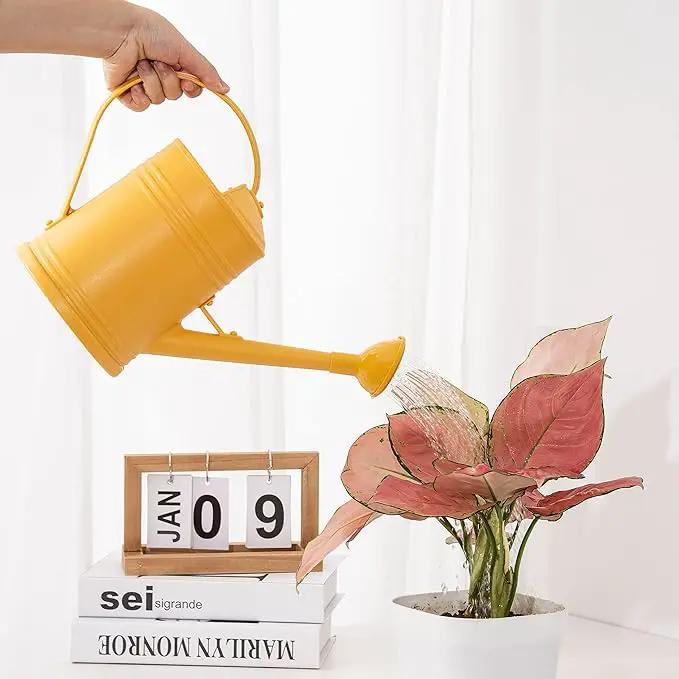 Plastic Indoor Watering Can with Detachable Sprinkler Head - 68oz (1/2 Gallon) for House Plants and Flowers by GreenHaven Gardens
