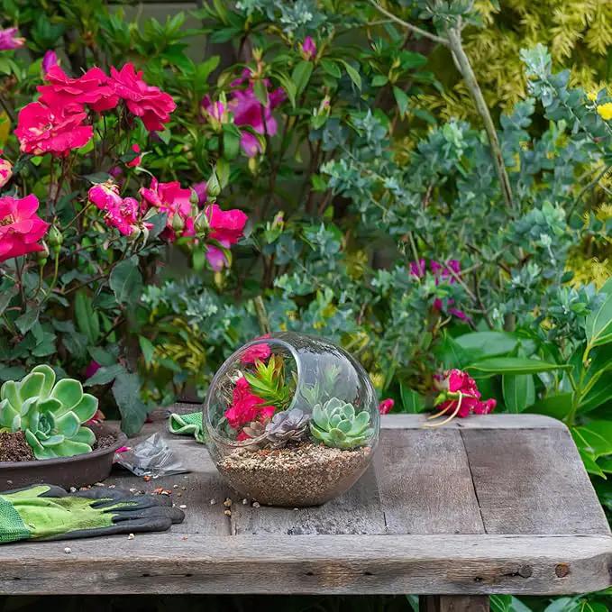 Mipcase 3 Pcs Plant Terrarium Plant Holder Terrarium Air Plant, 3 Round Glass Vase for Succulents, Clear Bubble Planter for Home Decor, Oblique Opening Glass Bowls Succulent Orbs Mini Tank by GreenHaven Gardens