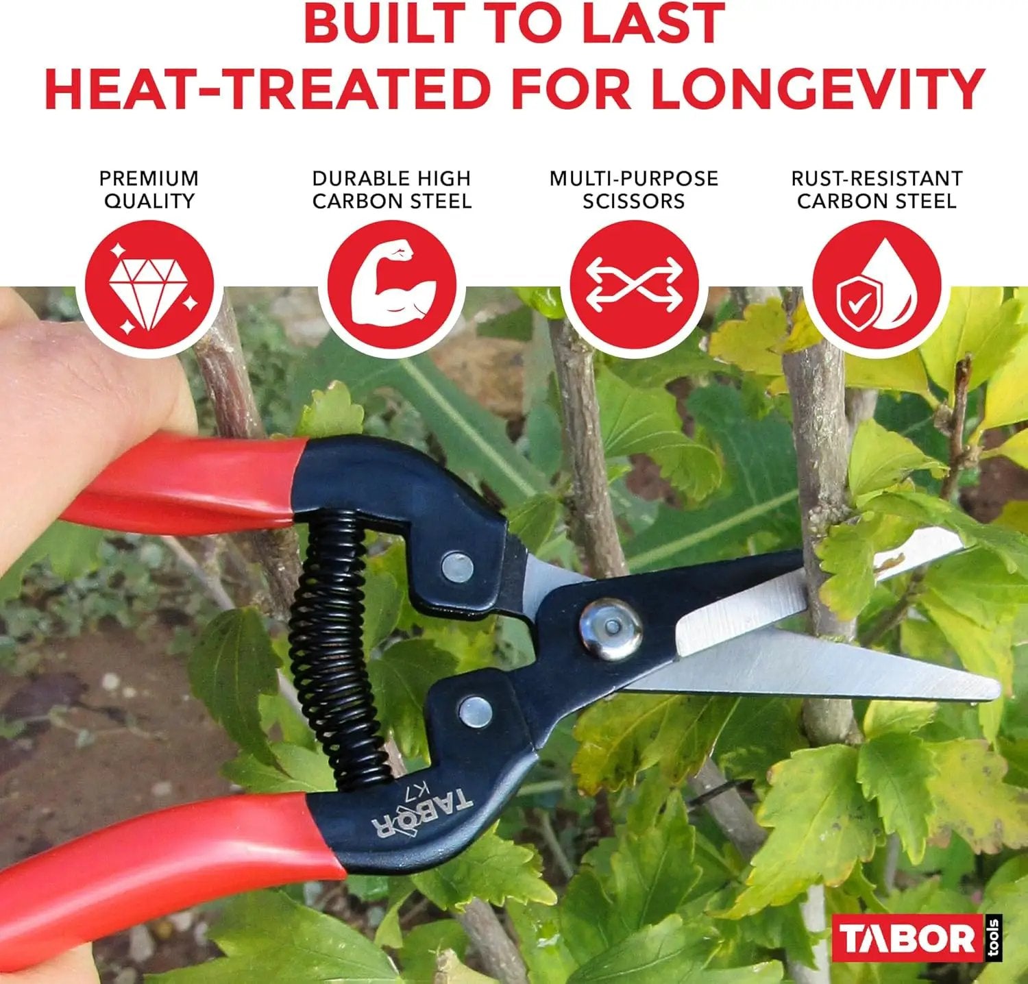 TABOR TOOLS K7A Straight Pruning Shears with Carbon Steel Blades, Florist Scissors, Multi-Tasking Garden Snips for Arranging Flowers, Trimming Plants and Harvesting Herbs, Fruits or Vegetables. by GreenHaven Gardens