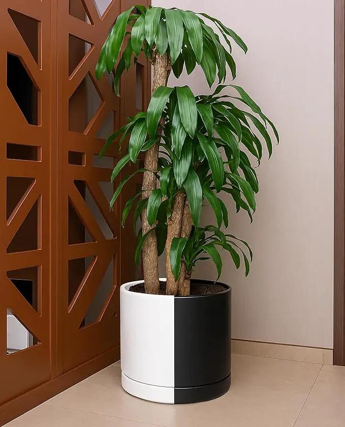 D'vine Dev 12 Inch Ceramic Planter Pot with Drainage Hole and Saucer, Indoor Cylinder Round Planter Pot, Split Monochrome Black & White, 94-O-F-0 by GreenHaven Gardens