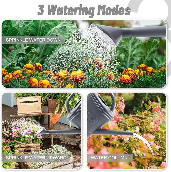 2 Gallon Watering Can, Outdoor Watering Can for Plants, Garden Water Can with Removable Long Spout and Stainless Steel Sprinkler Head, Large Water Can for Greenhouse (Gray, 2 Gallon) by GreenHaven Gardens