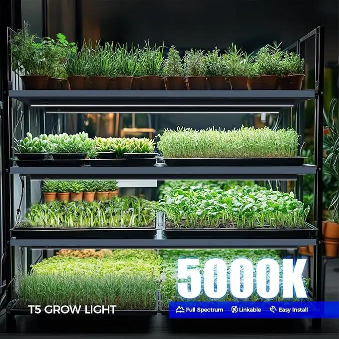 Barrina T5 Plant Lights for Indoor Growing, 3FT 128W (8 X 16W) Led Grow Light with Magnetic Design, Full Spectrum Grow Light Strip with Black Cover, Plug and Play, 5000K, 8 Packs by GreenHaven Gardens
