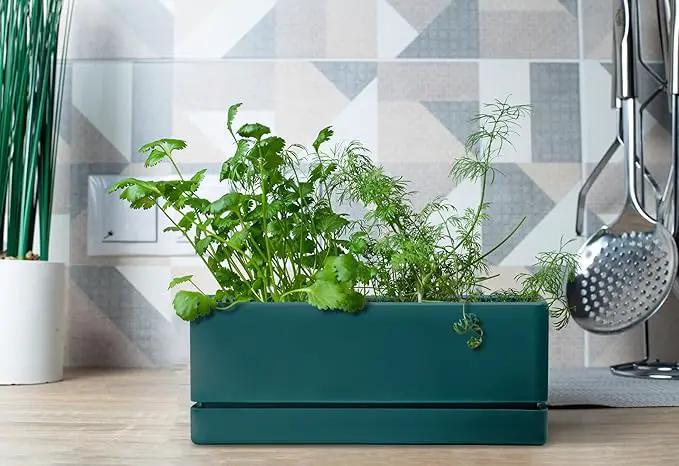 D'vine Dev 12 Inch Window Box Planter, Rectangle Plastic Herb Planter with Drainage Holes and Saucer, Indoor Succulent Cactus Vegetable Pot for Windowsill, Garden Balcony, Green, Set of 2, 76-X-C-2 by GreenHaven Gardens