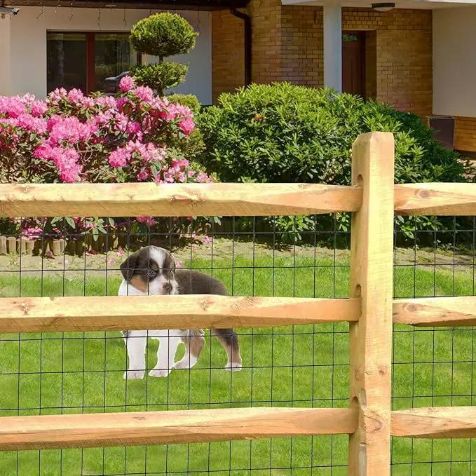 Black PVC Coated Welded Wire Fence 48 Inch x 50 Foot, 2 Inch x 3 Inch 16GA, Garden Border Fencing Roll Vinyl Coating Metal Wire Mesh for Yard Vegetable Plant Protection Poultry Netting by GreenHaven Gardens