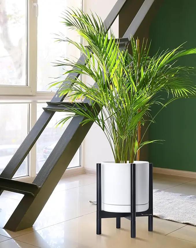 D'vine Dev Ceramic Planter with Ebony Stand - 12 Inch Modern Round Flower Pot with Wood Planter Holder, White, 55-B-H-1 by GreenHaven Gardens