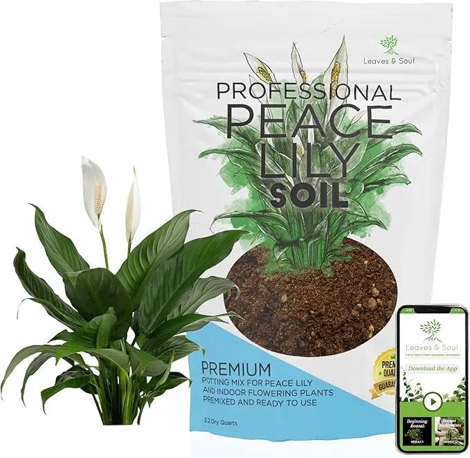 Professional Peace Lily Soil | Large 2.2 Quarts Ready to Use for Peace Lily Plants | Peat Moss, Coco Coir, Perlite, Dolomite | Made in USA by GreenHaven Gardens