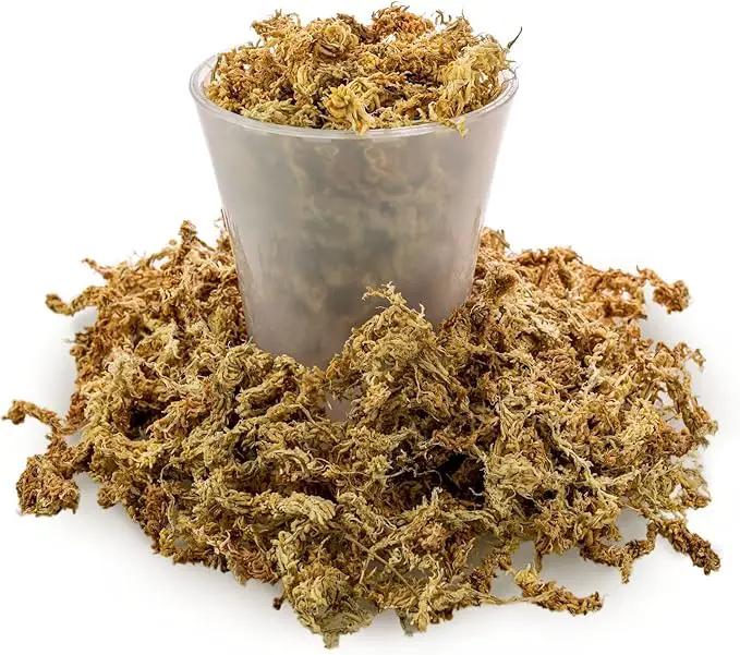 Premium Grade Sphagnum Moss by Gardenera - 20 Quart - Organic Hand Mixed New Zealand Long Fibered Sphagnum Moss Orchid - 4 Bags of 5 Quart by GreenHaven Gardens