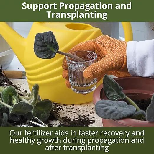 3-1-2 African Violet Fertilizer for Indoor Plants: Liquid Fertilizer with Essential Micronutrients Drops - Plant Food for African Violets (8 oz) by GreenHaven Gardens