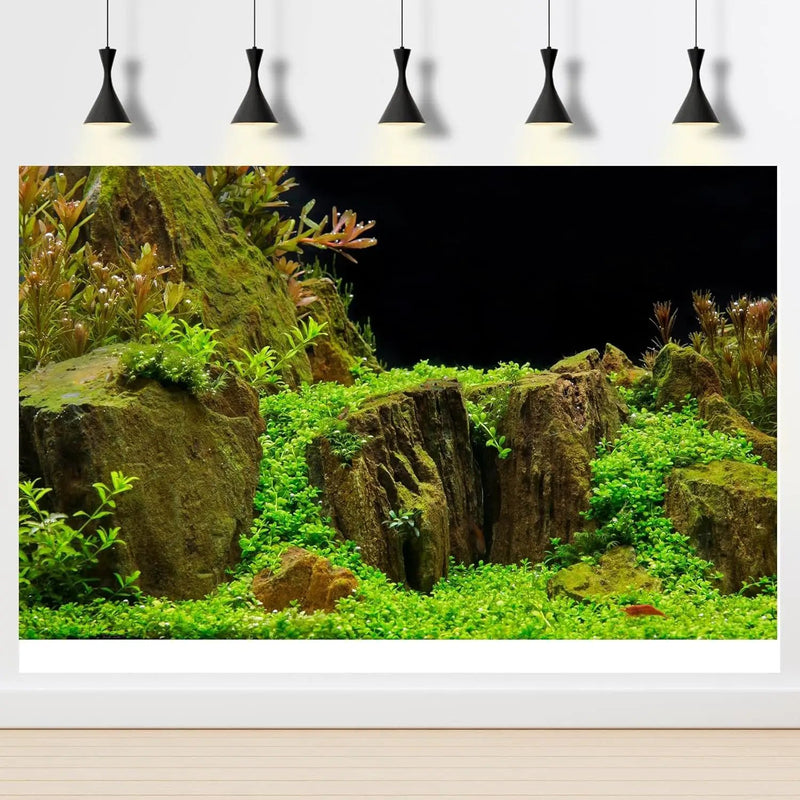 Aquarium Background Exquisite Underwater Grass with Moss Aquarium Backdrop Mysterious Stone Aquarium Background Durable Vivid and Fresh Leaves Background Tank Backdrop Decor Vinyl 24x12in by GreenHaven Gardens